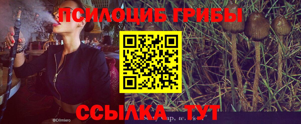 Галлюциногенные грибы мицелий Красноярск