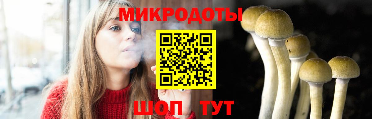 Псилоцибиновые грибы мухоморы  Вход с VPN  Красноярск  купить   Галлюциногенные грибы мухоморы 